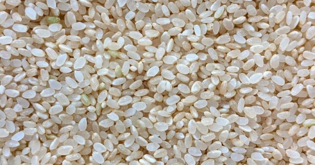【食レポ】私の定番ヘルシーごはん「岡山県産ひのひかり胚芽米」